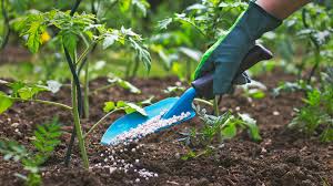 Chemical Fertilizer