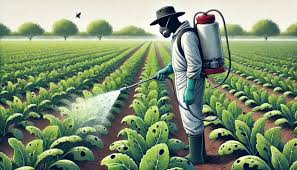Pest Control